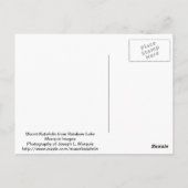 Katahdin aus dem Rainbow Lake Postkarte (Rückseite)