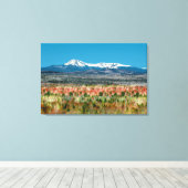 Katahdin Baxter Staat Park in Maine Leinwanddruck (Insitu (Holzboden))