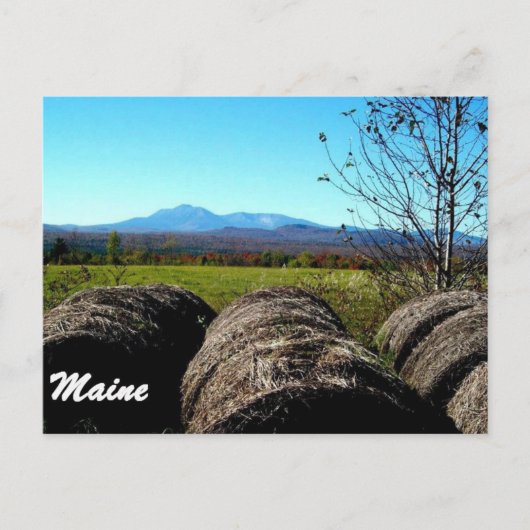 Katahdin, MICH. Postkarte (Vorderseite)