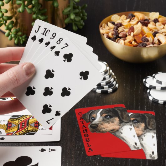 Katahoula Color Block Playing Cards Spielkarten (In Situ)