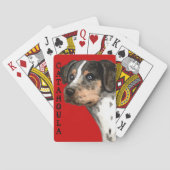 Katahoula Color Block Playing Cards Spielkarten (Rückseite)