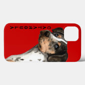 Katahoula-Farbblock Case-Mate iPhone Hülle (Rückseite (Horizontal))