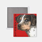 Katahoula-Farbblock Magnet (Vorderseite/Rückseite)