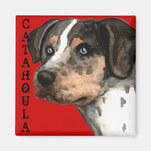 Katahoula-Farbblock Magnet