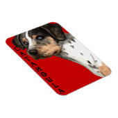 Katahoula-Farbblock Magnet (Rechte Seite)