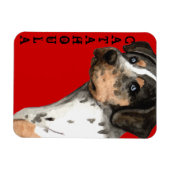 Katahoula-Farbblock Magnet (Horizontal)