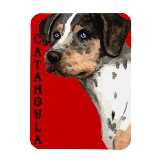 Katahoula-Farbblock Magnet (Vertikal)