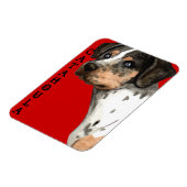 Katahoula-Farbblock Magnet (Linke Seite)