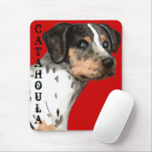 Katahoula-Farbblock Mousepad (Mit Mouse)
