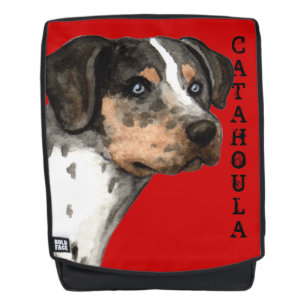 Katahoula-Farbblock Rucksack