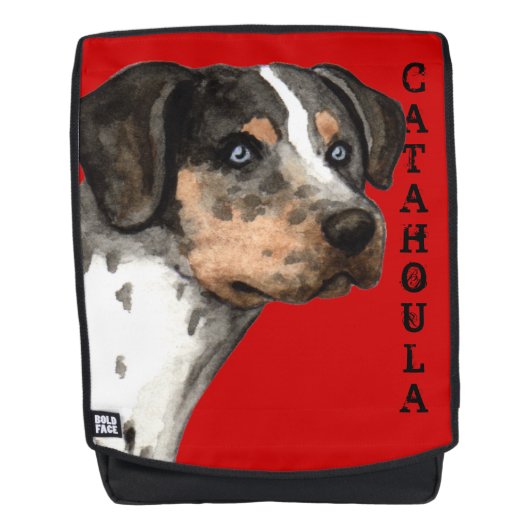 Katahoula-Farbblock Rucksack (Vorderseite)