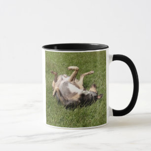 Katahoula Leopard Dog Rolling in Gras Tasse