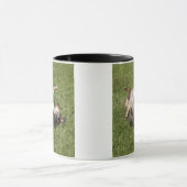 Katahoula Leopard Dog Rolling in Gras Tasse (Zentrum)