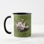 Katahoula Leopard Dog Rolling in Gras Tasse (Links)