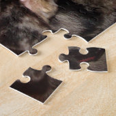 Katahoula Leopard Hund zeigt Zähne Puzzle (Seite)