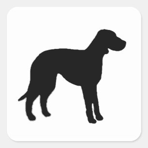 Katahoula leopard-Hundelsilo schwarz Quadratischer Aufkleber