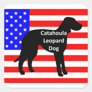 Katahoula-Silhouette auf der Flagge von usa Quadratischer Aufkleber
