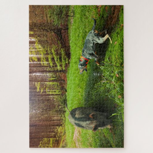 Katahoula und Hog Puzzle (Vertikal)