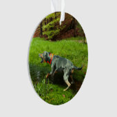 Katahoula und Wild Hog Ornament (Vorderseite)