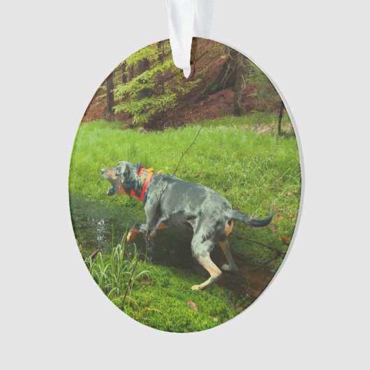 Katahoula und Wild Hog Ornament (Vorderseite)