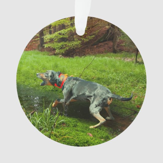 Katahoula und Wild Hog Ornament (Vorderseite)