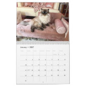 KATALENDER UND FRÜHER KALENDER (Jan 2027)