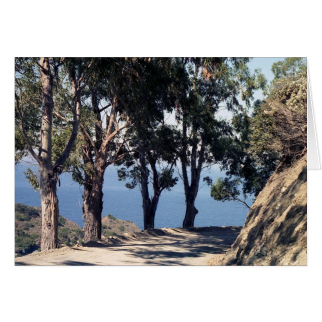 Katalina (Vorderseite (Horizontal))