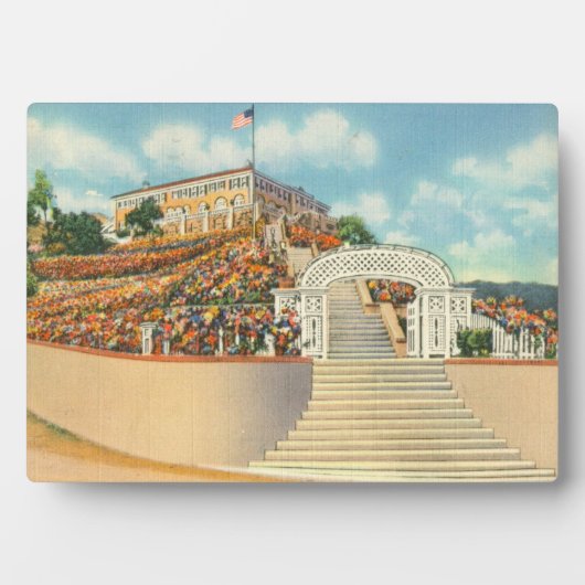 Katalina Fotoplatte (Vorderseite)