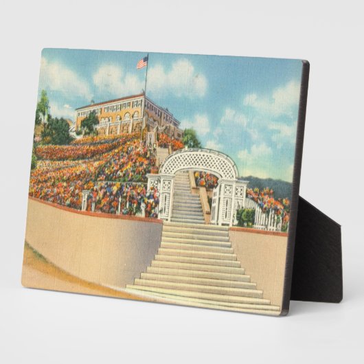 Katalina Fotoplatte (Seite)