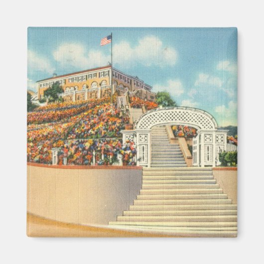 Katalina Magnet (Vorne)