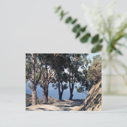 Katalina Postkarte (Stehend Vorderseite)