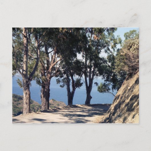 Katalina Postkarte (Vorderseite)