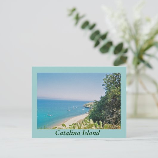 Katalina Postkarte (Stehend Vorderseite)