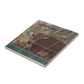 KATALINISCHE INSEL KERAMIK TILAND-OBERFLÄCHE FLIESE (Seite)