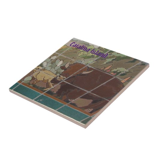 KATALINISCHE INSEL KERAMIK TILAND-OBERFLÄCHE FLIESE (Seite)