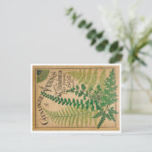 Katalog der Farne Postkarte (Stehend Vorderseite)