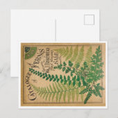 Katalog der Farne Postkarte (Vorne/Hinten)