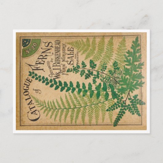 Katalog der Farne Postkarte (Vorderseite)