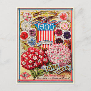 Katalog mit Vintage-Gartensamen-Blumensamen Postkarte