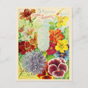 Katalog mit Vintage-Gartensamen-Blumensamen Postkarte