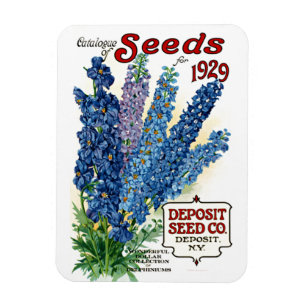 Katalog von Samen für 1929 Vintage Floral Magnet