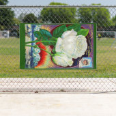 Katalogbild der 1890er Jahre White Rose Banner (Insitu)