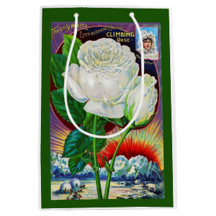 Katalogbild der 1890er Jahre White Rose Mittlere Geschenktüte