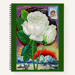 Katalogbild der 1890er Jahre White Rose Notizblock