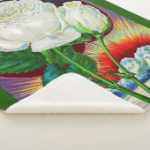Katalogbild der 1890er Jahre White Rose Sherpadecke (3/4)