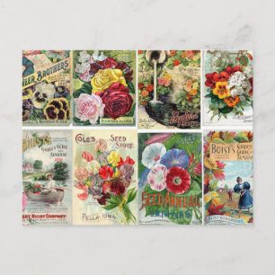 Kataloge für Vintage Blume Postkarte