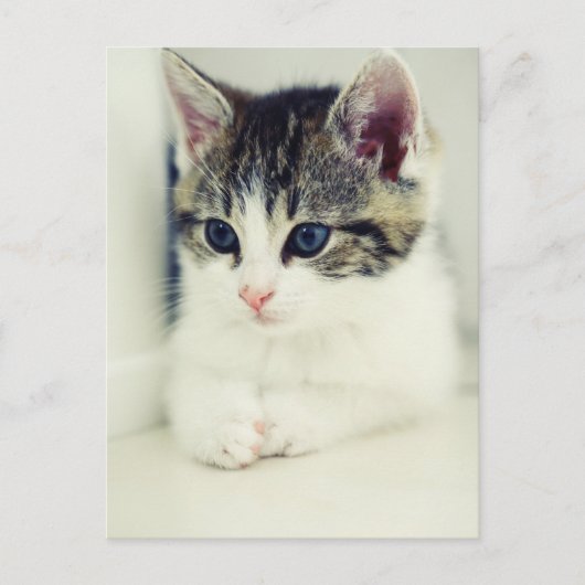katalogisieren postkarte (Vorderseite)