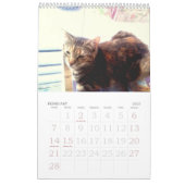 Katalogkalender 2022 kalender (Feb 2027)