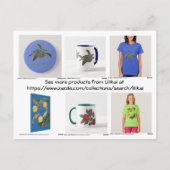 Katalogkarte - Lilikai Turtle Ankündigungspostkarte (Rückseite)
