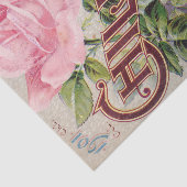 Katalogpapier für antikes Rosa und Weißrosen Seidenpapier (Ausschnitt)